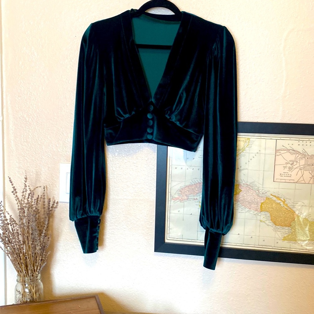 Scorpio Rising Emerald Velvet Crop